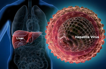 Hepatitis C virus